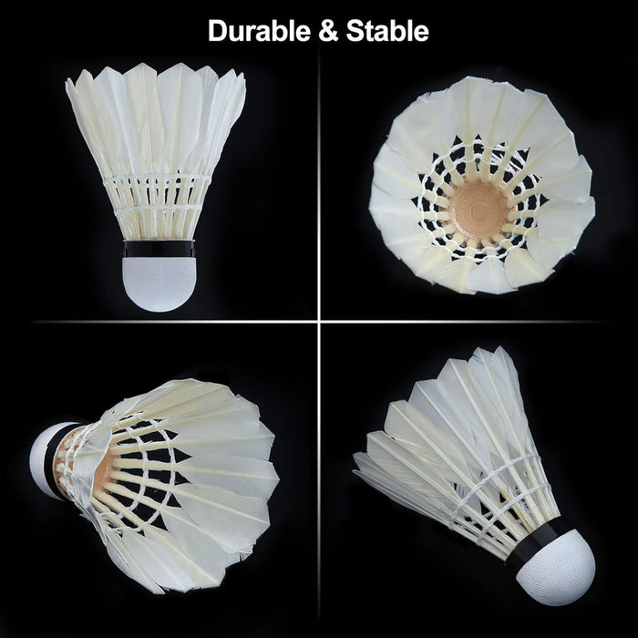 Badminton Set Professional Badminton Sets for Backyards with Net, Winch System, 4 Badminton Rackets, 2 Goose Feather Shuttlecocks and Carrying Bag