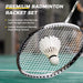 Badminton Set Professional Badminton Sets for Backyards with Net, Winch System, 4 Badminton Rackets, 2 Goose Feather Shuttlecocks and Carrying Bag